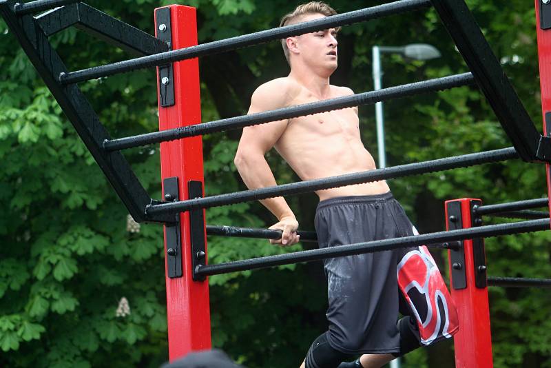 Pátý ročník Street workout Battle v Čermákových sadech.