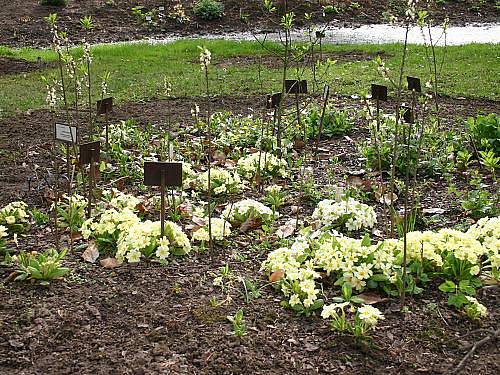 Jaro na Botanické zahradě v Rakovníku