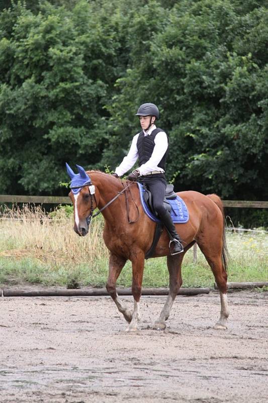 Národních soutěží Working Equitation ve Rtyni nad Bílinou se zúčastnili i koně a jezdci hředelského Jezdeckého klubu Spongilit.