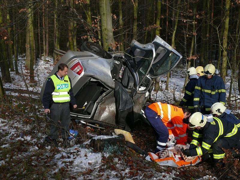 Auto narazilo do stromu a dvě osoby utrpěly zranění.