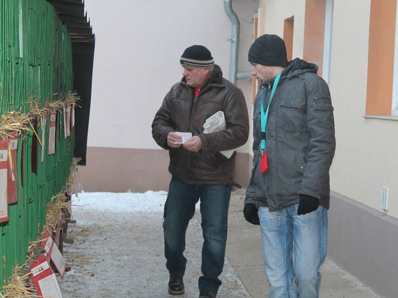 Zimní výstava drobného zvířectva v Rakovníku