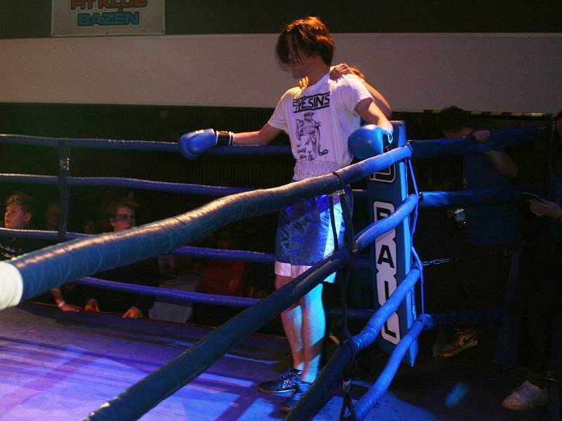 V rakovnickém kulturním centru se uskutečnil osmý ročník galavečeru Boxeři dětem