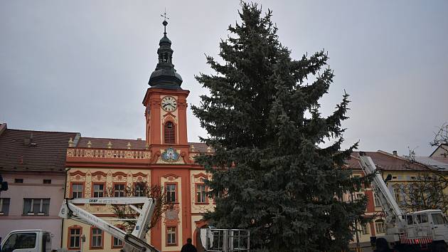 V neděli 21. listopadu byl na Husovo náměstí v Rakovníku z Václav dovezen vánoční strom.