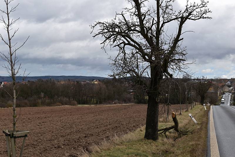 Většinu silnic zasypaly popadané větve, podobně jako u Lubné