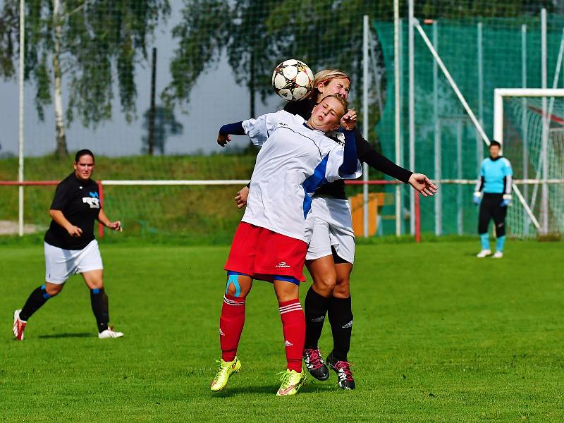 Pavlíkovské Lvice vyhrály v dalším kole divize žen v Brňanech 6:1.