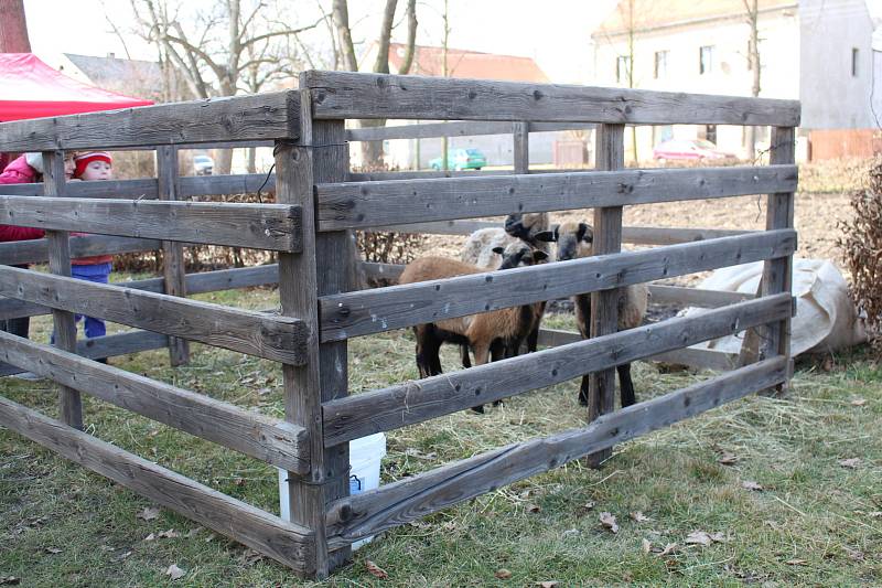 Na sušárně nechybělo pletení pomlázek nebo soutěž o nejlepšího beránka.