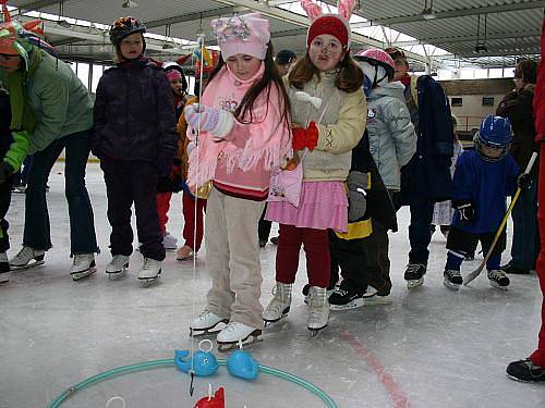 Maškarní karneval na ledě DDMRakovník