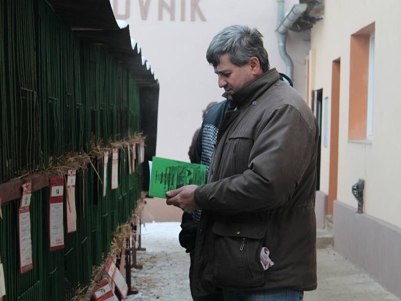 Zimní výstava drobného zvířectva v Rakovníku