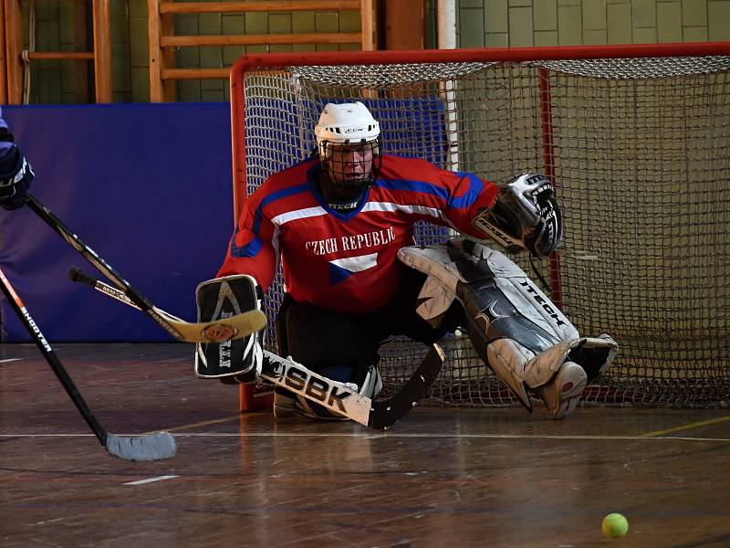 Multi charitativní akce Retro hokejbal pomáhá se v rakovnické sportovní hala uskutečnila již počtvrté.