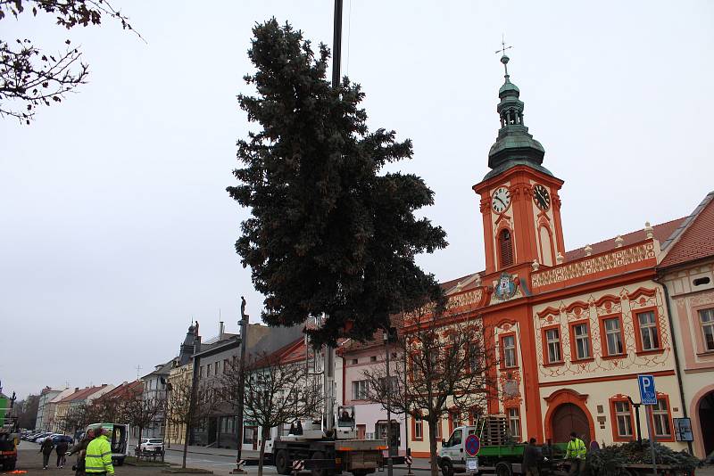 Vánoční strom byl na Husovo náměstí v Rakovníku přivezen 25. listopadu z nábřeží Dr. Beneše.