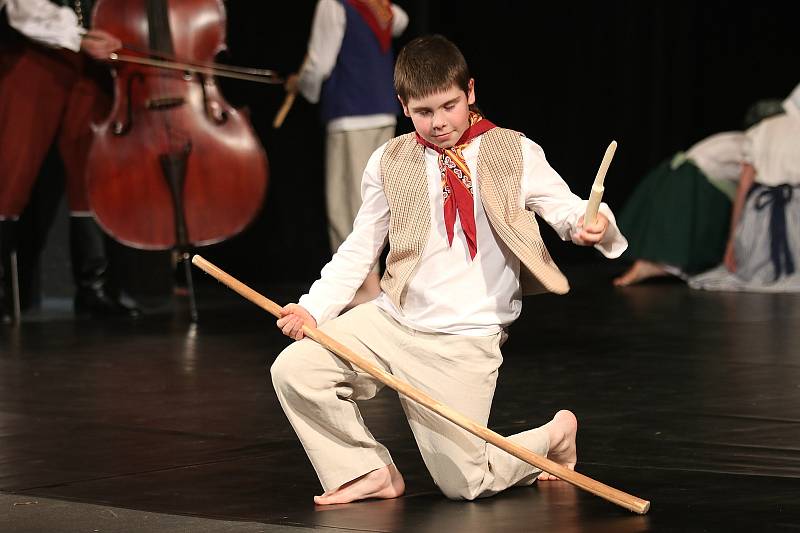 Dětský folklórní soubor Borůvky se zúčastnil celostátní přehlídky v Jihlavě.