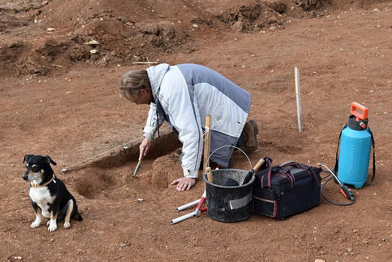 Na hlavní trase plánované dálnice D6 u Nesuchyně a Krupé probíhá archeologický průzkum, který provádí Česká společnost archeologická.