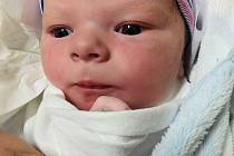 Dominik Neumann, Rynholec. Narodil se 10. února 2022. Po porodu vážil 4,2 kg a měřil 54 cm. Rodiče jsou Lucie a Radislav Neumannovi. (porodnice Kladno)