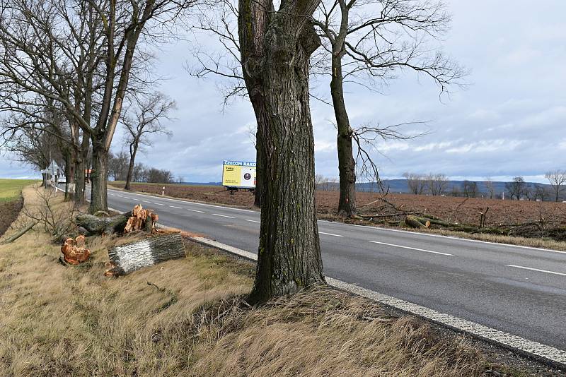 Většinu silnic zasypaly popadané větve, podobně jako v lokalitě zvané Huřviny