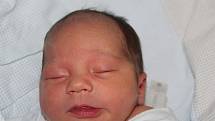 AMOS NOVOTNÝ, LOUNY. Narodil se 12. prosince 2017. Po porodu vážil 3,10 kg a měřil 47 cm. Rodiče jsou Mariana a Tomáš.