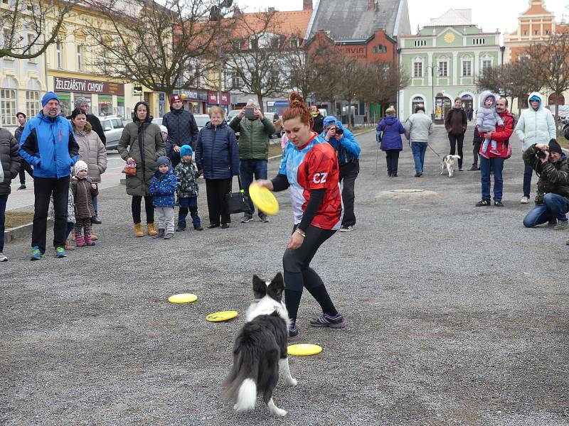 Hlavním tématem masopustu v Rakovníku byla zima.