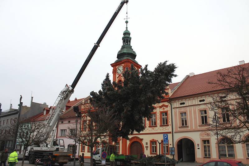 Vánoční strom byl na Husovo náměstí v Rakovníku přivezen 25. listopadu z nábřeží Dr. Beneše.