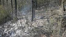 Požár lesa u obce Pustověty.