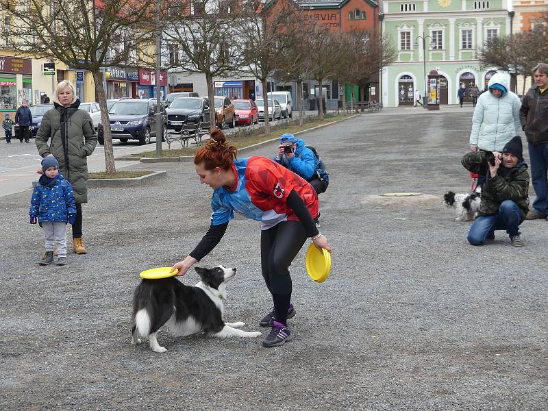 Hlavním tématem masopustu v Rakovníku byla zima.