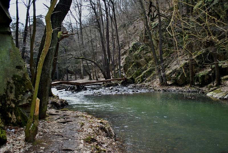 Skryjská jezírka, okolí Berounky