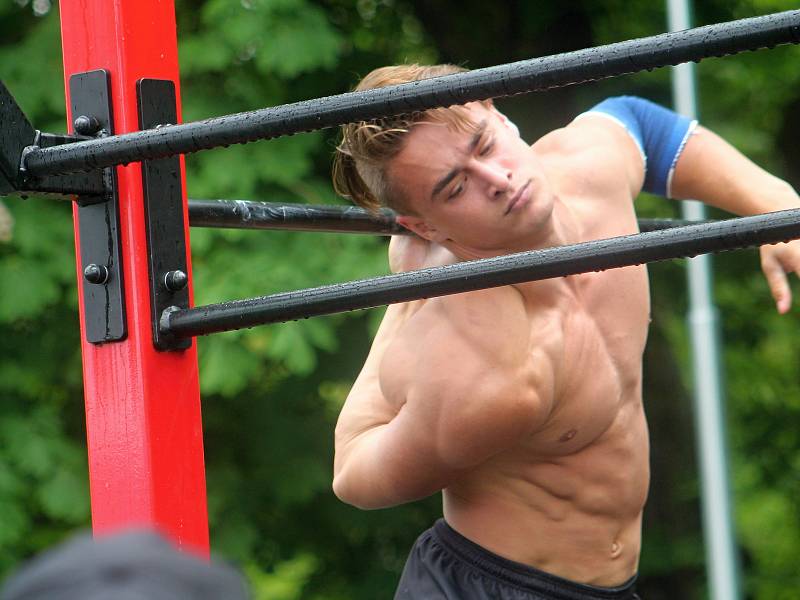 Pátý ročník Street workout Battle v Čermákových sadech.