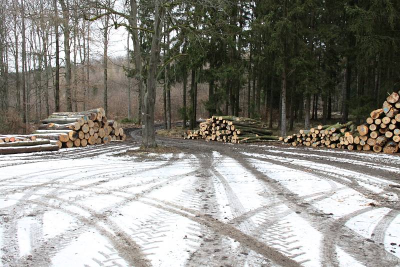 Obec Broumy a okolní chráněná krajinná oblast Křivoklátsko