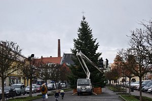 Zdobení vánočního stromu na Husově náměstí v Rakovníku.