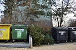 Podle nové vyhlášky odpadového zákona i vyhlášky města by neměly vánoční stromky končit u kontejnerů, přesto se tak děje. Firma Marius Pedersen proto organizuje svozy.