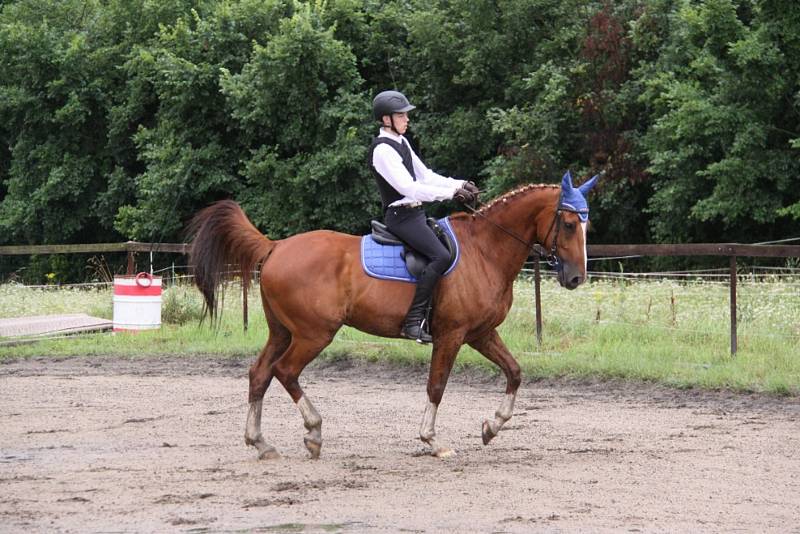 Národních soutěží Working Equitation ve Rtyni nad Bílinou se zúčastnili i koně a jezdci hředelského Jezdeckého klubu Spongilit.