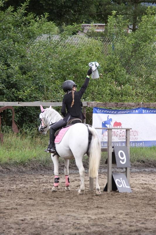 Národních soutěží Working Equitation ve Rtyni nad Bílinou se zúčastnili i koně a jezdci hředelského Jezdeckého klubu Spongilit.