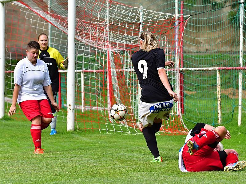 Pavlíkovské Lvice vyhrály v dalším kole divize žen v Brňanech 6:1. Foto: Petr Růžek