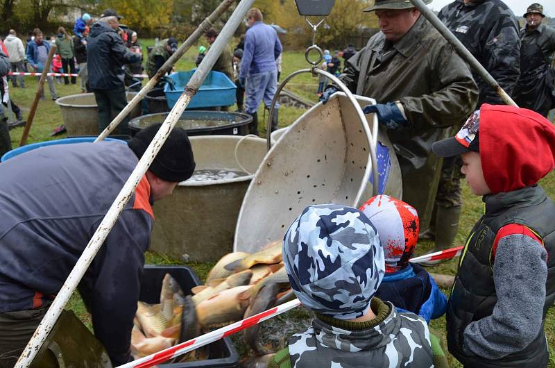 Výlov sledovalo mnoho lidí z Nového Strašecí i okolí.