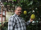 Jan Šanda, pěstitel citrusů