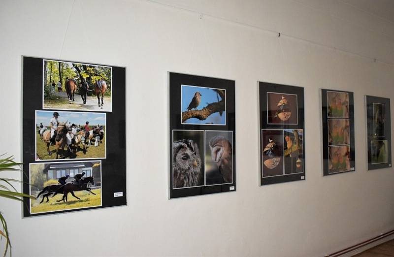 Vlastivědné muzeum v Jesenici hostí výstavu fotografií Fotoklubu Jesenice.