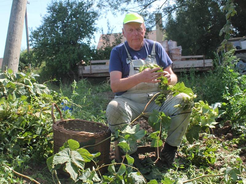 10. Mistrovství v ručním česání chmele