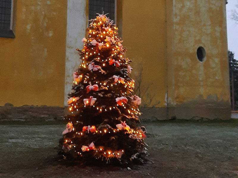 Vánoční strom městysu Pavlíkov.