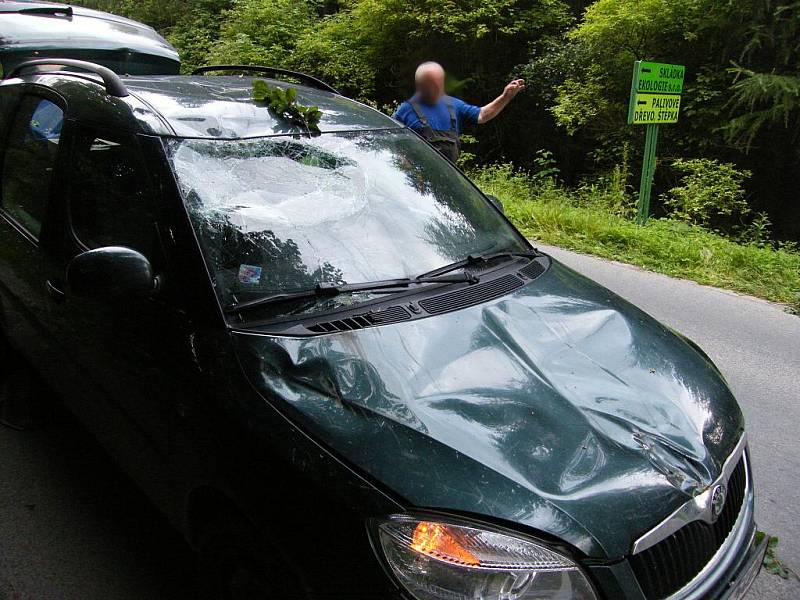 Mohutná větev spadla na automobil. Jako zázrakem se naštěstí nikomu nic nestalo