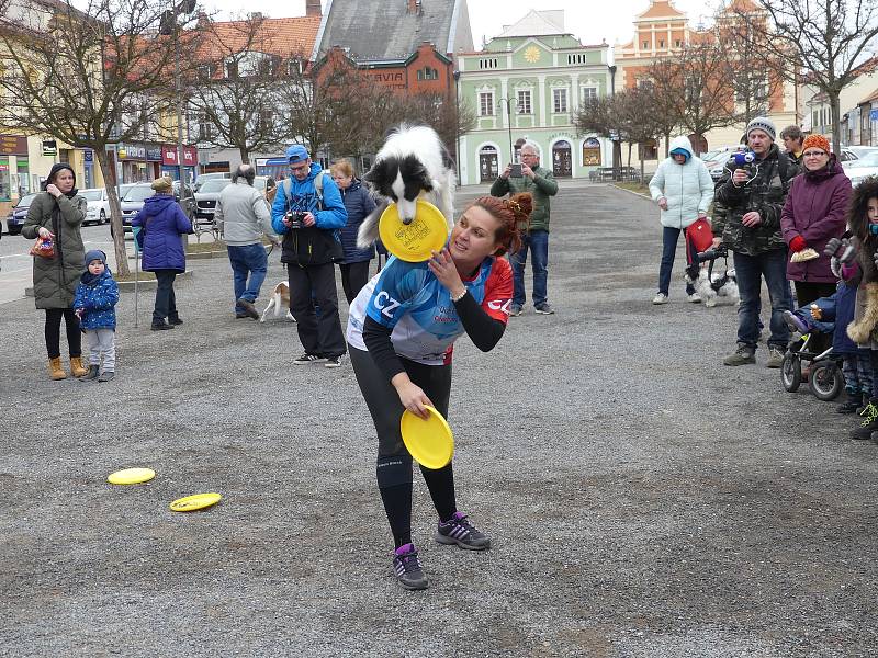 Hlavním tématem masopustu v Rakovníku byla zima.