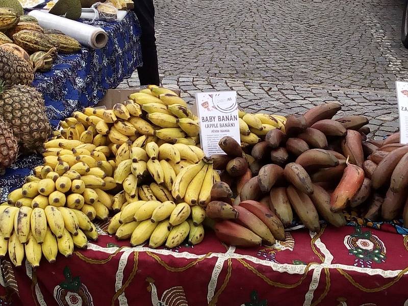 Z Afrických trhů na Husově náměstí v Rakovníku v úterý 31. srpna 2021.