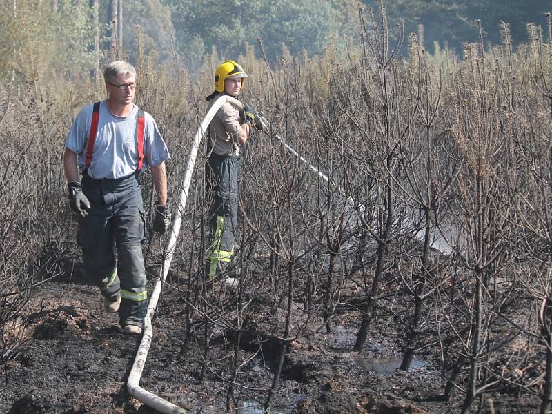 Hasiči bojují s požárem lesa u Olešné 