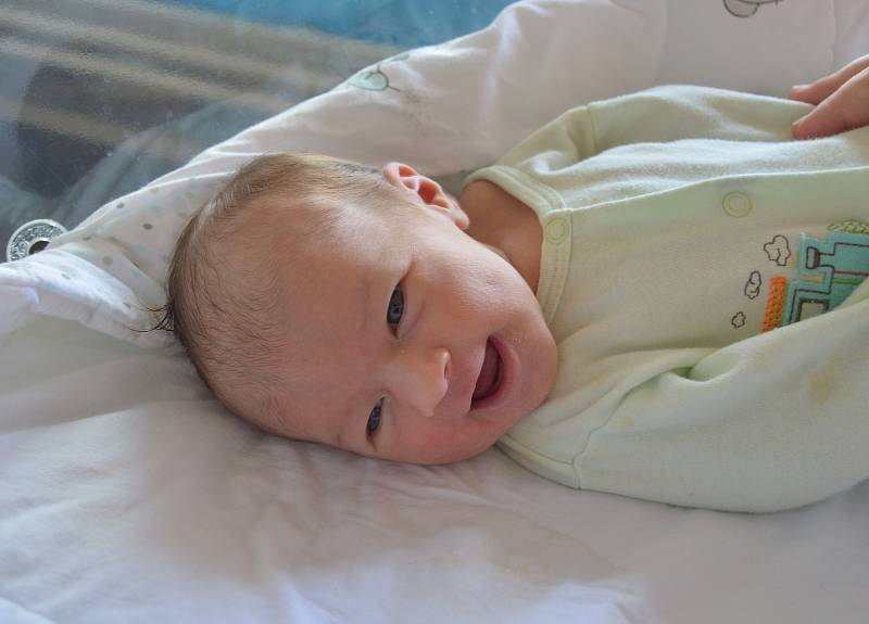 SÁRA TOMANOVÁ, NOVÉ STRAŠECÍ . Narodila se 12. července 2019. Po porodu vážila 3,2 kg a měřila 48 cm. Rodiče jsou Dana a Pavel.