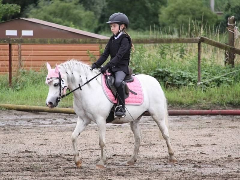 Národních soutěží Working Equitation ve Rtyni nad Bílinou se zúčastnili i koně a jezdci hředelského Jezdeckého klubu Spongilit.