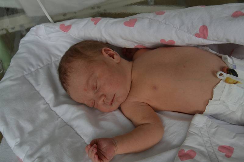 HANA VITNEROVÁ, ŘEVNIČOV. Narodila se 18. června 2019. Po porodu vážila 3,0 kg a měřila 47 cm. Rodiče jsou Hana a Zdeněk. Bratr Zdeňek.