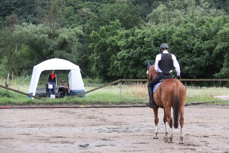 Národních soutěží Working Equitation ve Rtyni nad Bílinou se zúčastnili i koně a jezdci hředelského Jezdeckého klubu Spongilit.