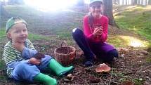 Úlovek z Divišova: Největší radost mají děti, když najdou houby a nejmladší syn (2,5 roku) už také sbírá