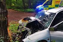 Ke smrtelné dopravní nehodě došlo v pátek dopoledne u obce Nový Dům na Rakovnicku.