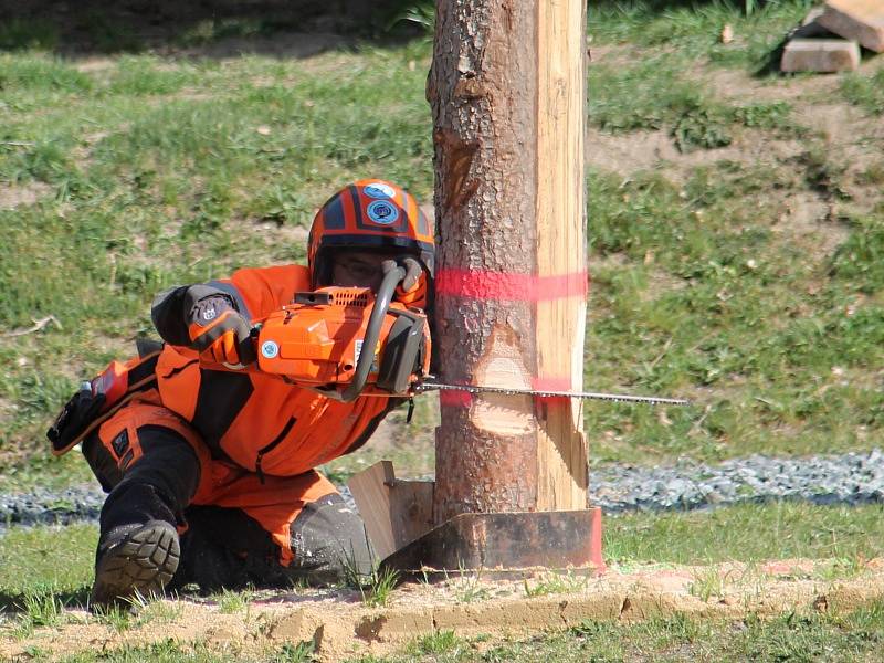 15. ročník republikového šampionátu Dřevorubec junior.