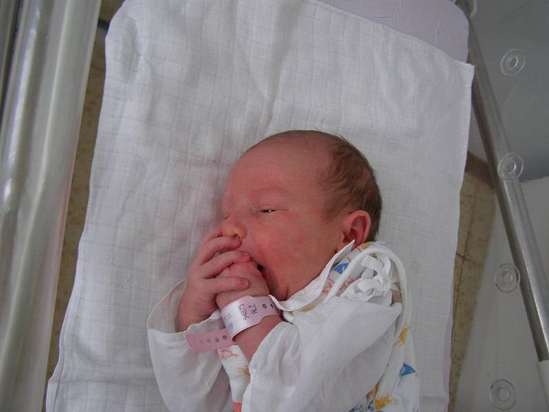 Rodičům Janovi a Olze ze Skřivani se 19. srpna 2009 ve 14 hodin 40 minut narodila dcera Lucie Komendová. Měřila 50 centimetrů a vážila 3,20 kilogramu. 