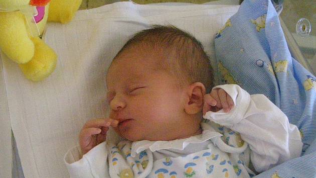 Jan Seibert se narodil 14. srpna 2009 v 15 hodin 53 minut rodičům Ireně a Janovi z Lán. Měřil 51 centimetrů a vážil 3,20 kilogramu.