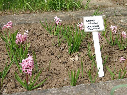 Botanická zahrada v Rakovníku na jaře